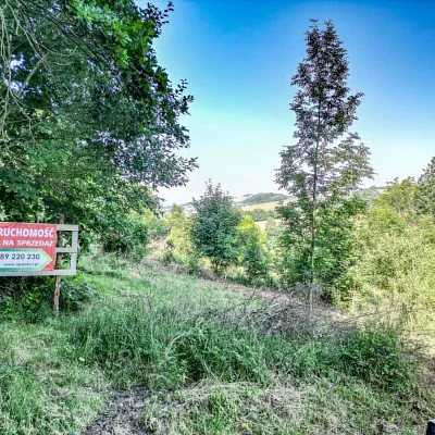 Działka na sprzedaż: Dziwiszów